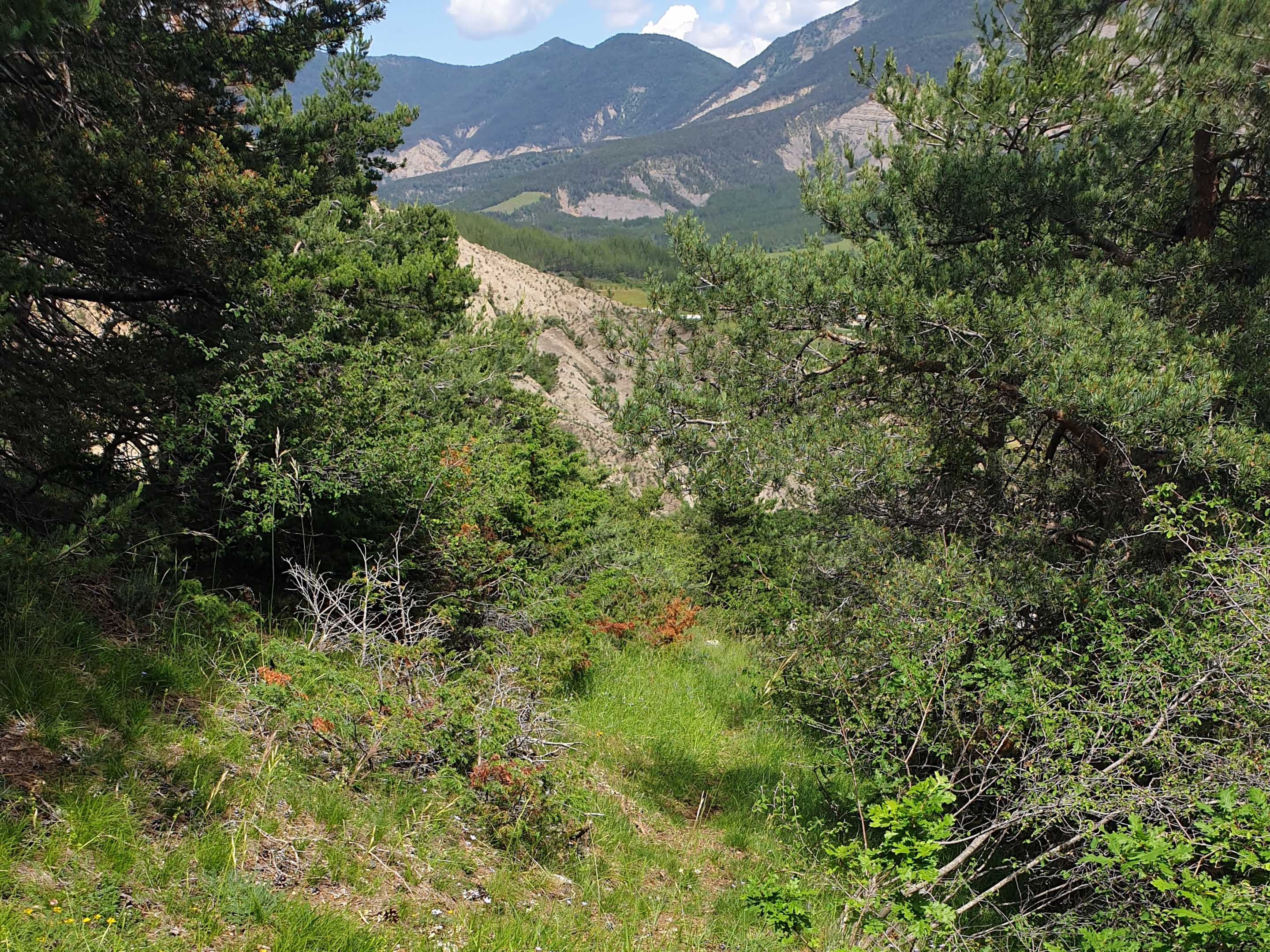 Vue de la vallée de la Chauranne depuis le sommet du terrain.