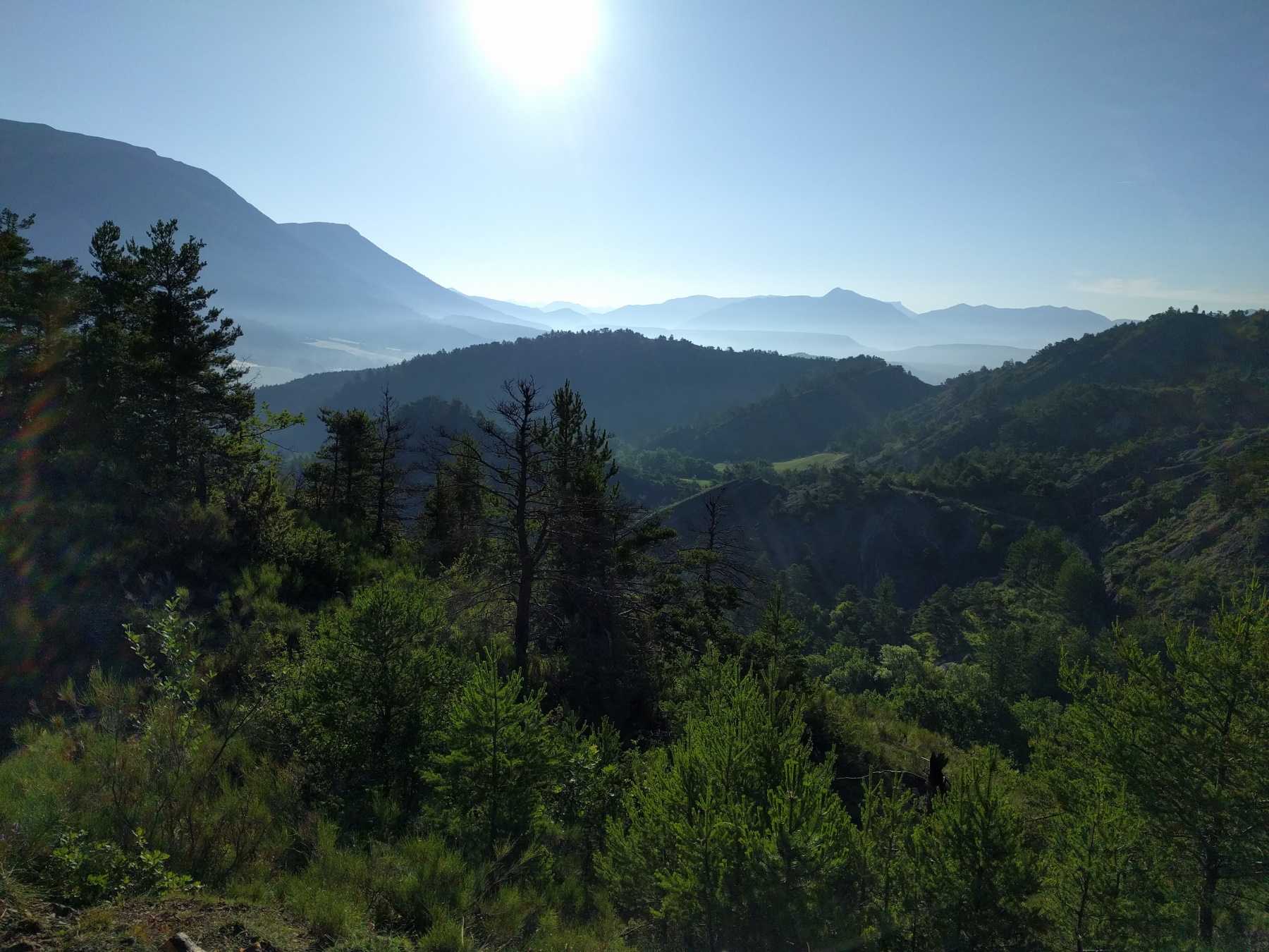 Vue de la vallée de la Chauranne depuis le sommet du terrain.